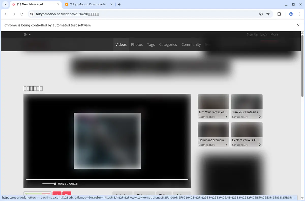 Tokyomotion Video Downloader browser extension screenshot 3