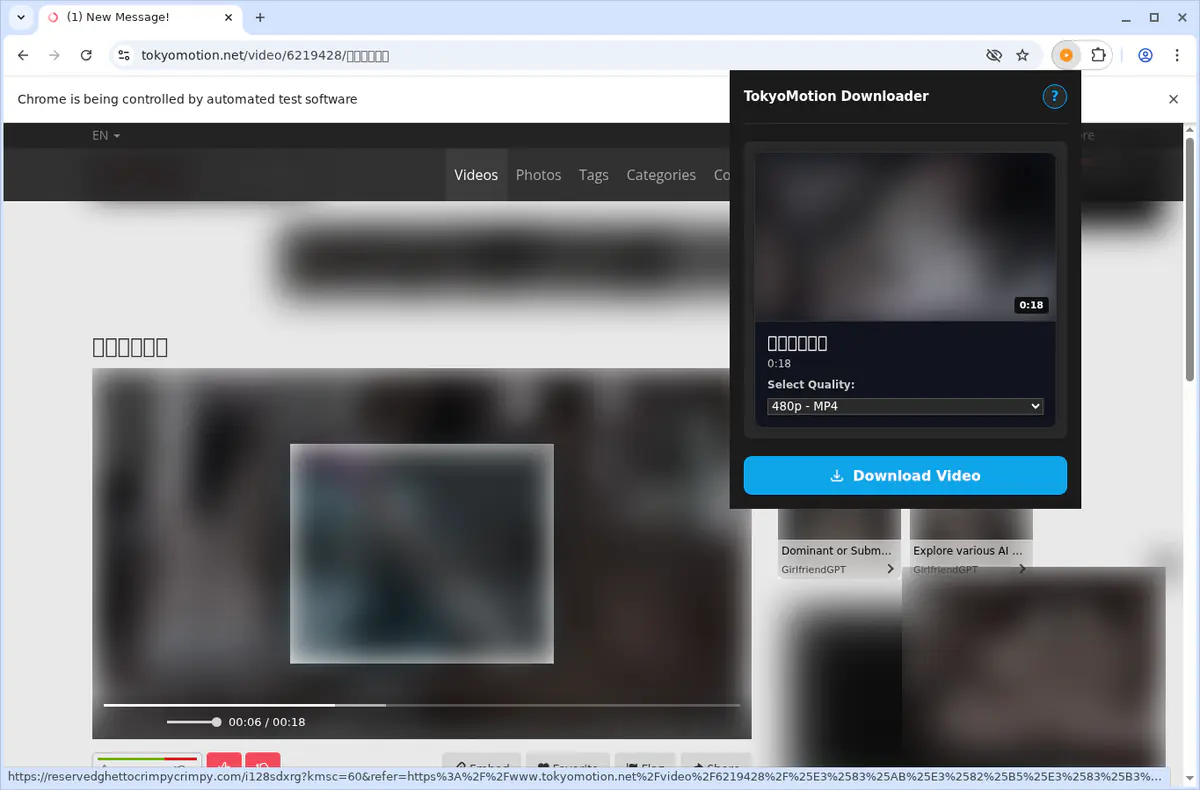 Tokyomotion Video Downloader browser extension screenshot 4