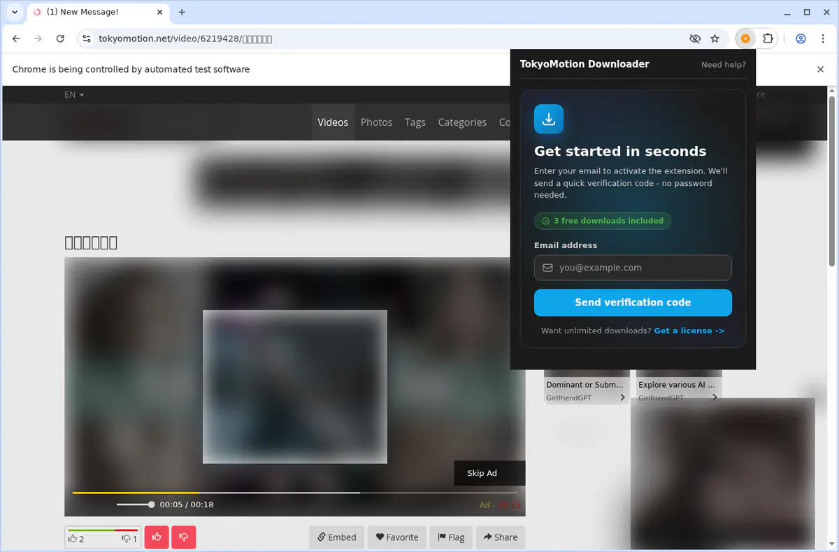 Tokyomotion Video Downloader browser extension screenshot 6